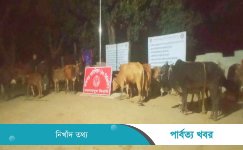 ভারতীয় ২৪ গরু আটক করল বিজিবি